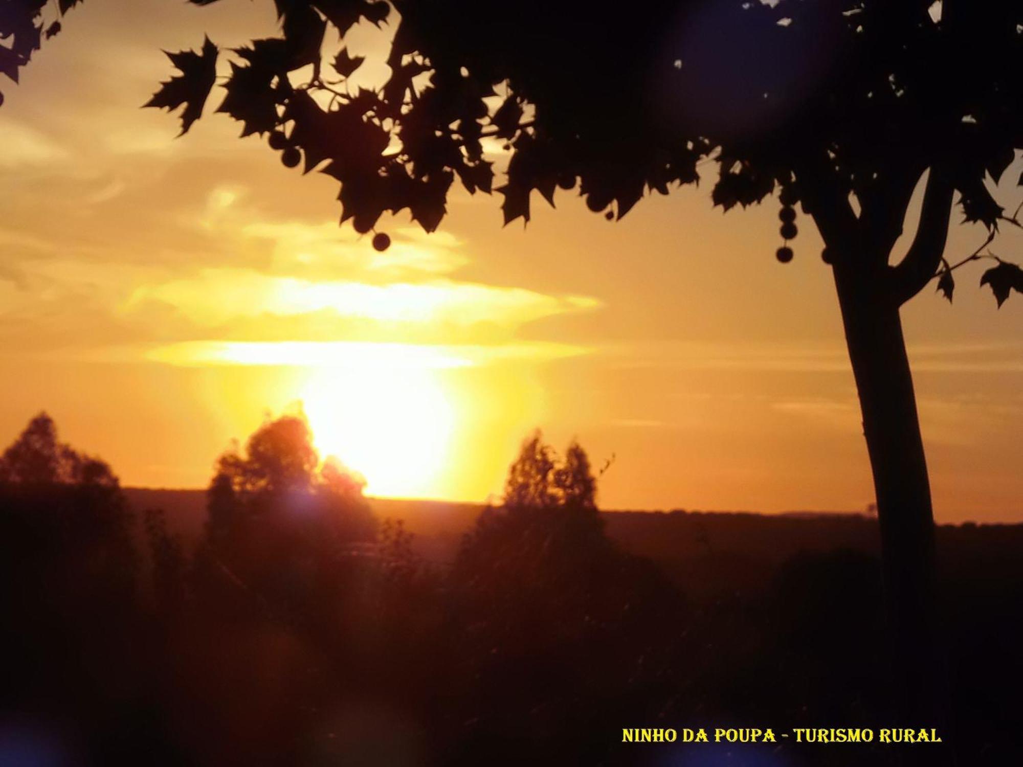 בית הארחה סרפה 	Ninho Da Poupa מראה חיצוני תמונה